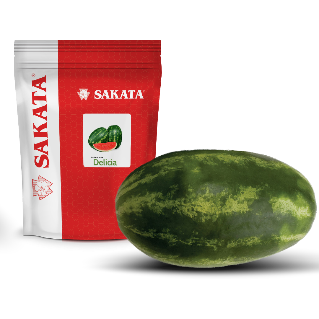sand-a-delicia-tqc-tecnolog-a-qu-mica-y-comercio-s-a
